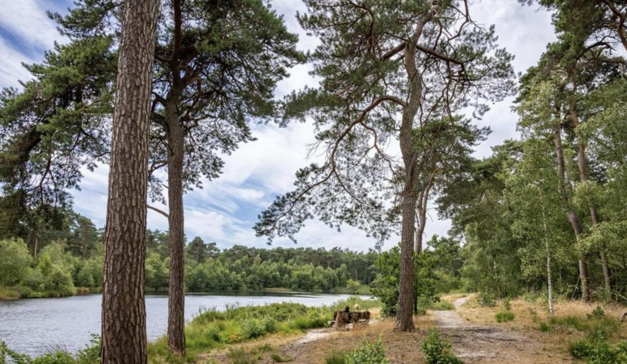 29, Natuurlijk Gelegen Nabij Efteling En Beekse Bergen, Airco & Prive Parkeren Inbegrepen! Oisterwijk Exterior photo